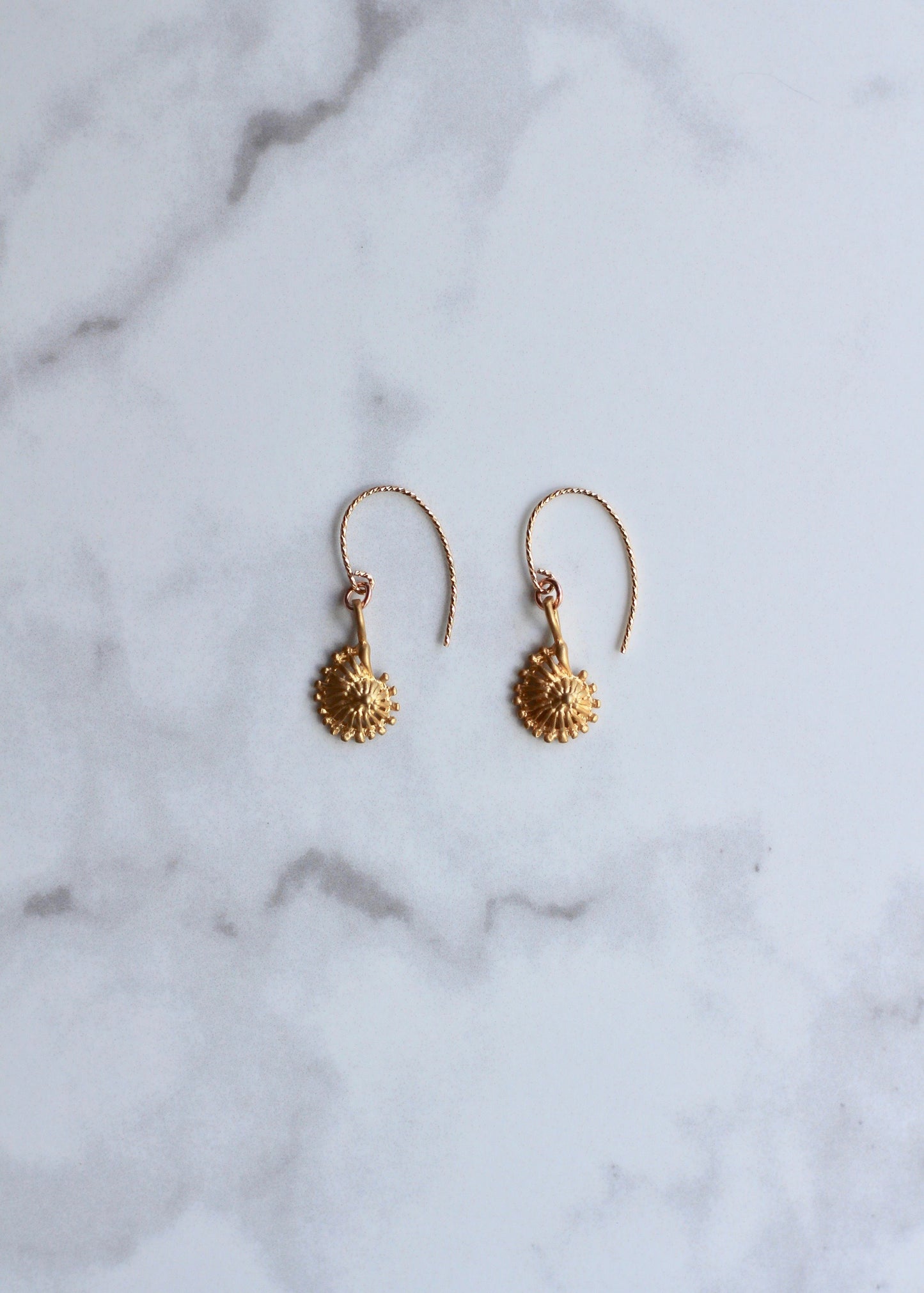 Gold Sea Shell Earrings 14K