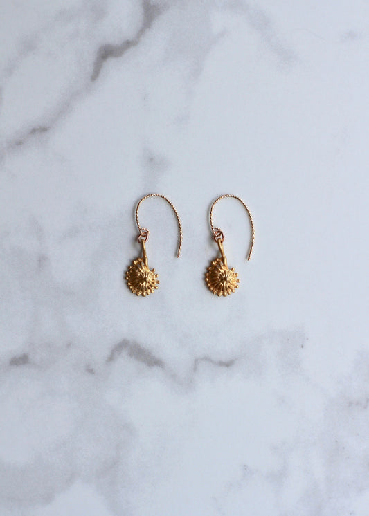 Gold Sea Shell Earrings 14K