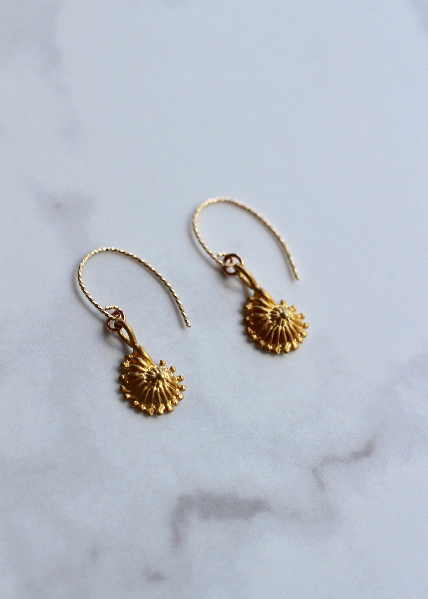 Gold Sea Shell Earrings 14K