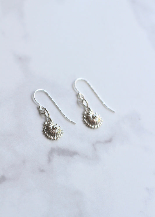 Silver Sea Shell Earrings