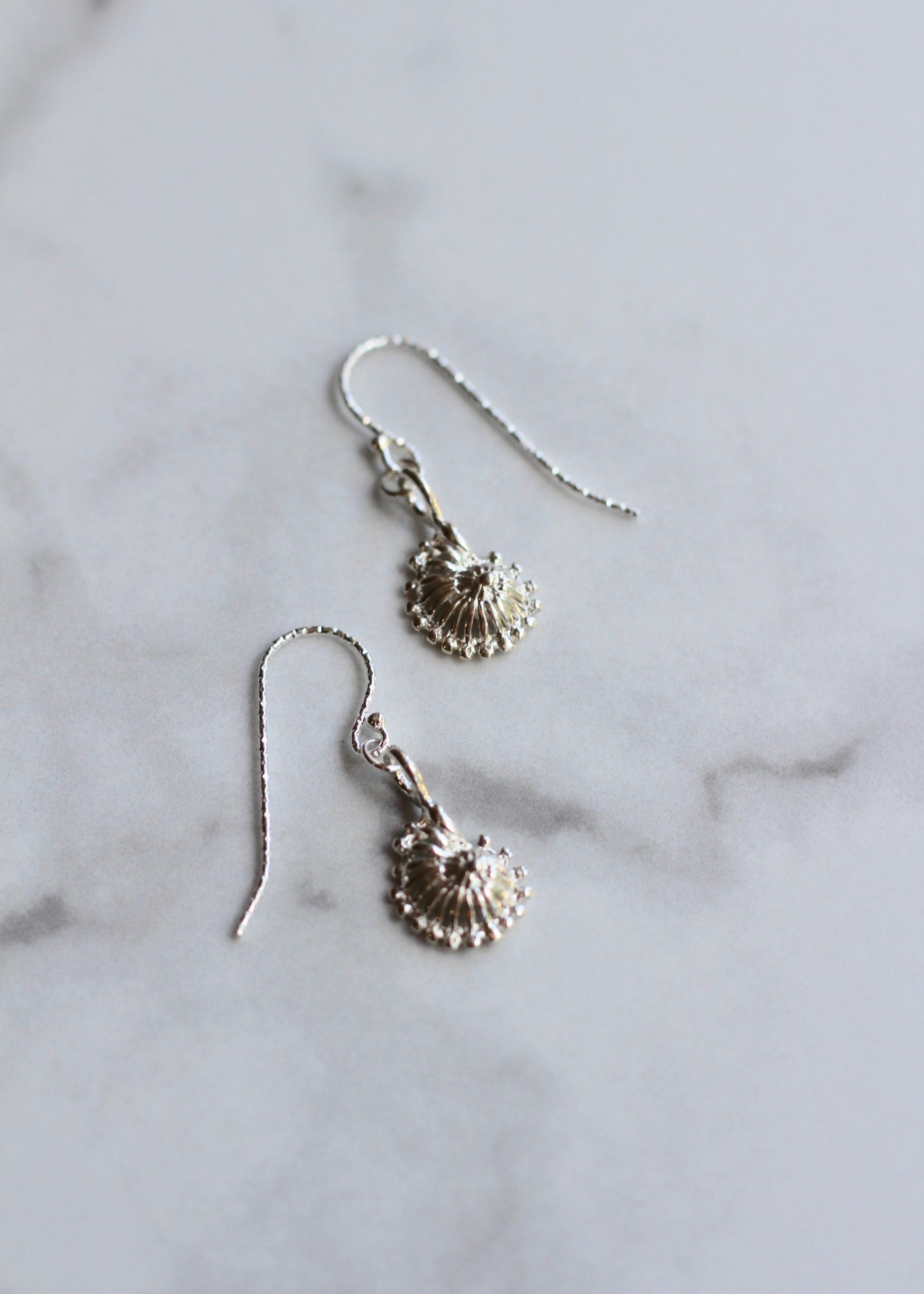 Silver Sea Shell Earrings